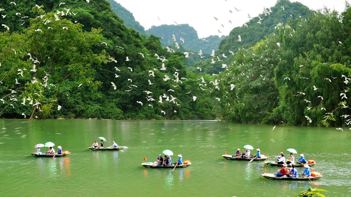 Thung Nham Bird Park A world of thrilling activities are waiting for you in Thung Nham