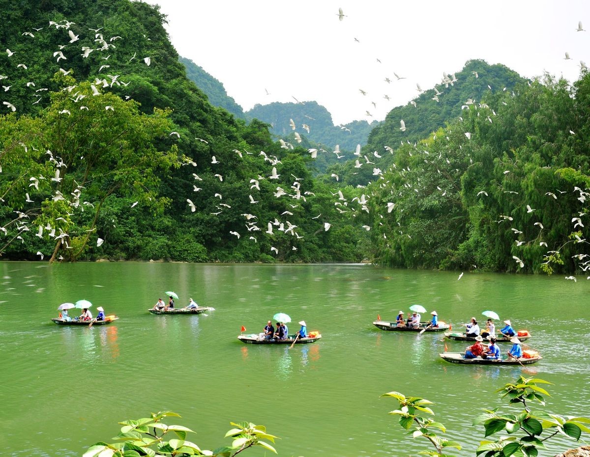 Thung Nham Bird Park A world of thrilling activities are waiting for you in Thung Nham