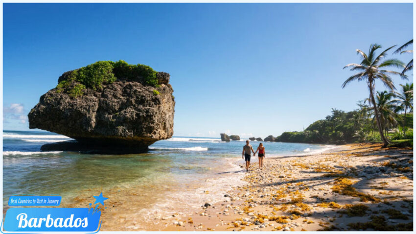 Best Countries to Visit in January - Barbados