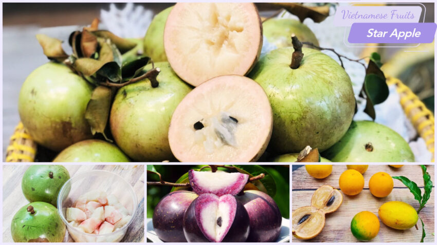 Vietnamese Fruits - Star Apple