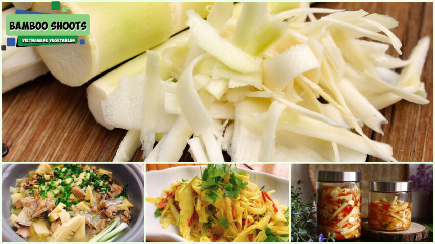 Vietnamese Vegetables - Bamboo Shoots