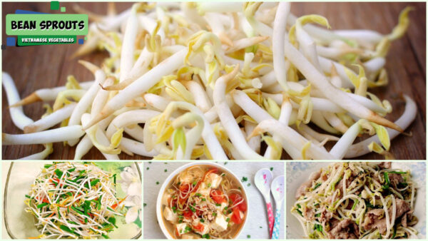 Vietnamese Vegetables - Bean Sprouts