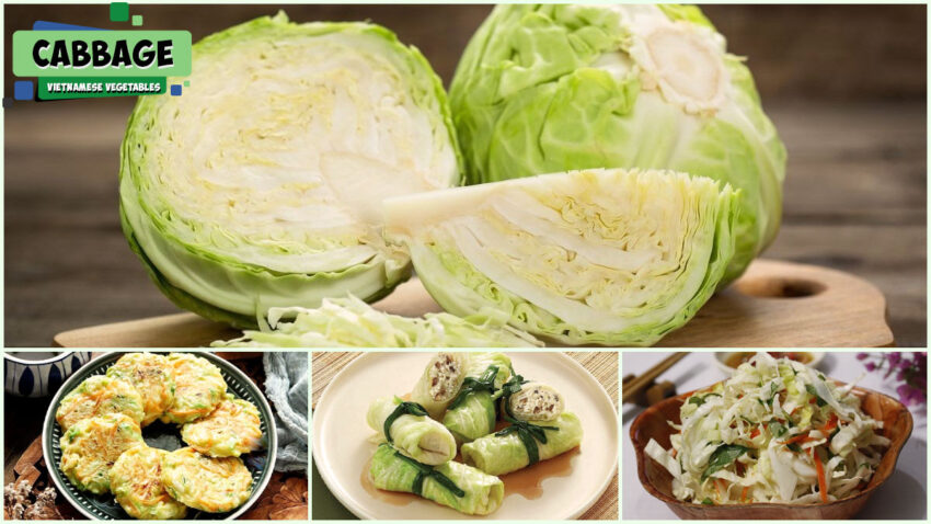 Vietnamese Vegetables - Cabbage