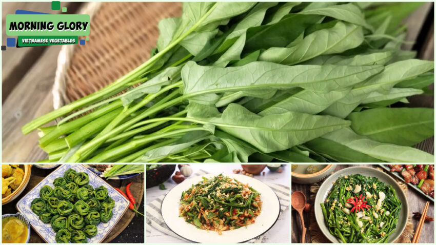 Vietnamese Vegetables - Morning Glory