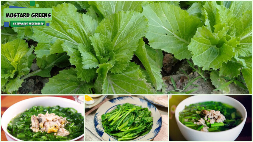 Vietnamese Vegetables - Mustard Greens