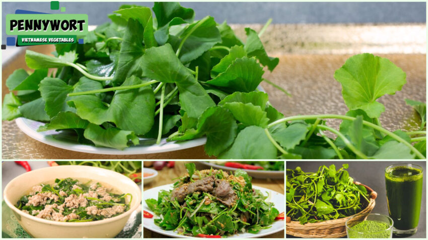 Vietnamese Vegetables - Pennywort