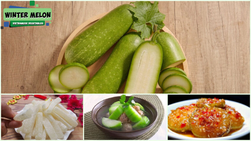 Vietnamese Vegetables - Winter Melon