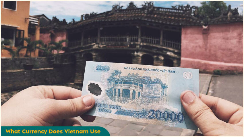 What Currency Does Vietnam Use Interesting Facts about Vietnamese Banknotes