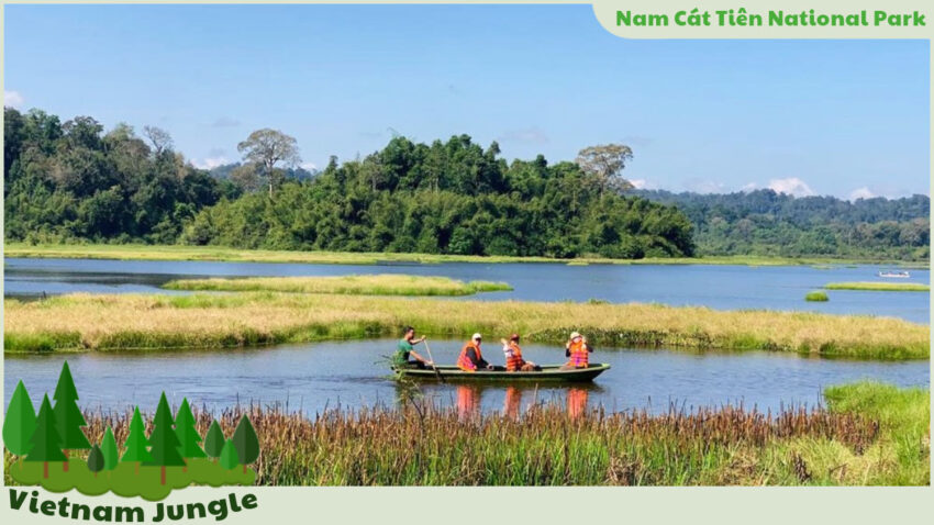 Vietnam Jungle Nam Cát Tiên National Park, Bình Phước Province