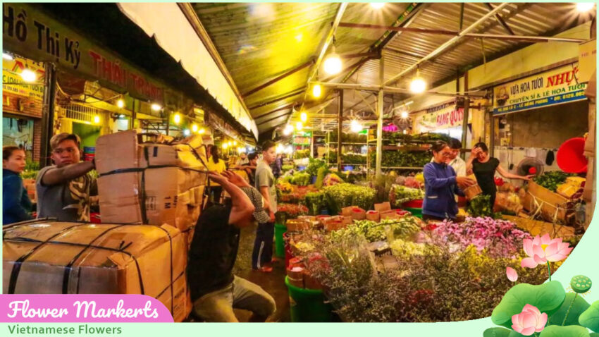 Vietnamese Flowers Vietnam’s Flower Markets