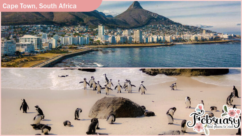 Best Places to Visit in February - Cape Town, South Africa