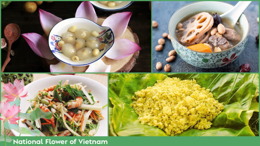 Considered as national flower of Vietnam, lotus is an inspirational source for Vietnamese cuisine