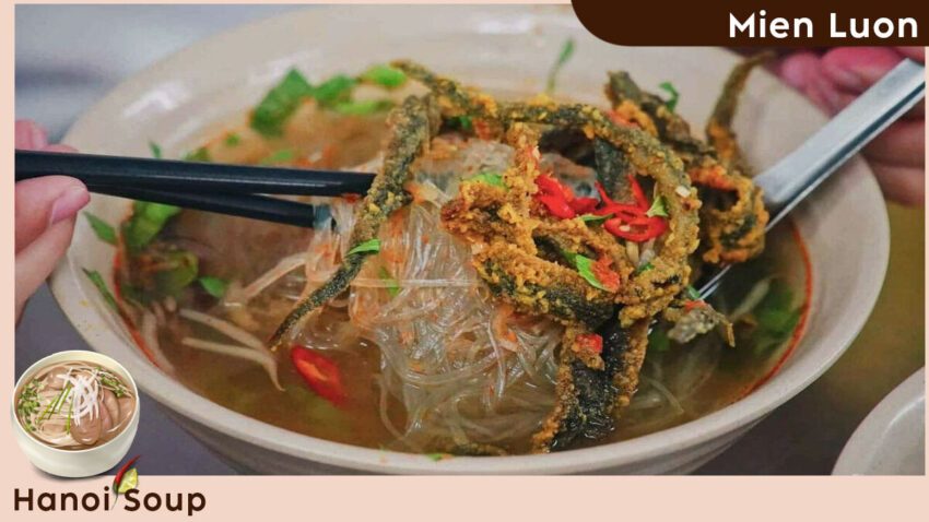 Hanoi Soup - Mien Luon