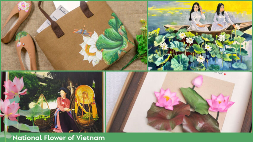 National Flower of Vietnam The lotus is also found in in various Vietnamese art forms and products