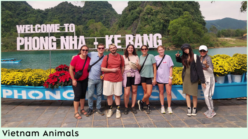 Places to See Vietnam Animals - Phong Nha-Ke Bang National Park