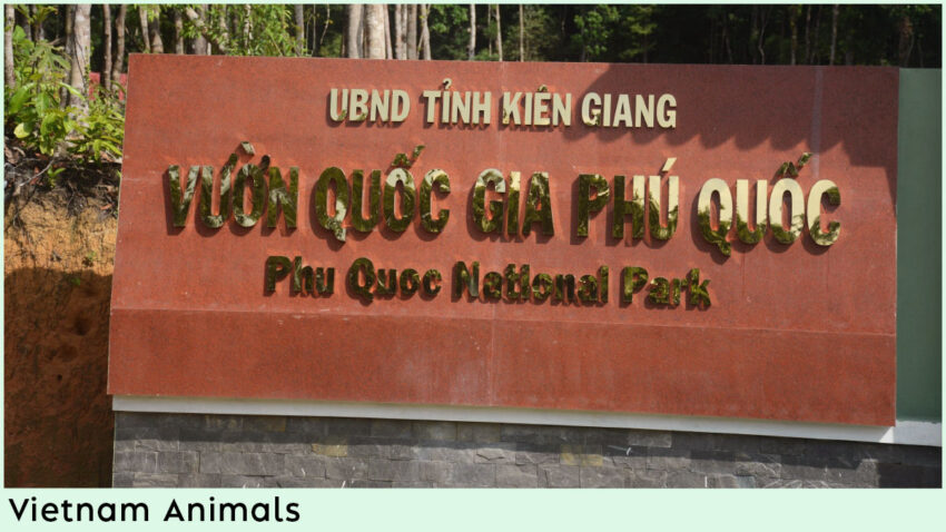 Places to See Vietnam Animals - Phu Quoc National Park