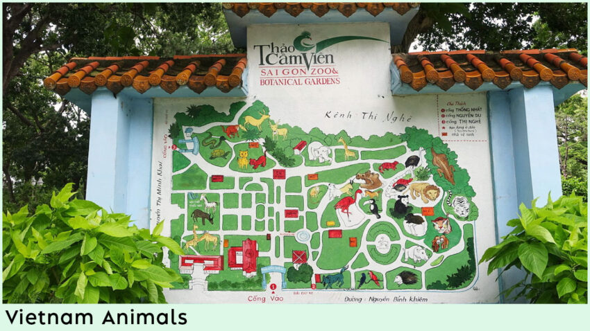 Places to See Vietnam Animals - Saigon Zoo & Botanical Gardens