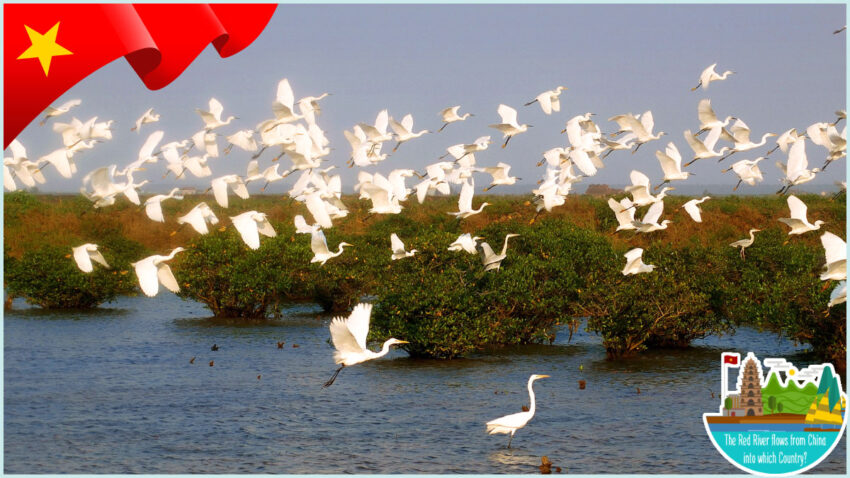 The Red River flows from China into which Country Xuan Thuy National Park is a wonderful place to marvel at the beauty of Vietnam