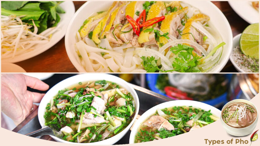 Types of Pho - Chicken Pho