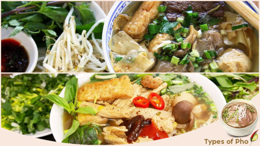 Types of Pho - Vegetarian and Vegan Pho