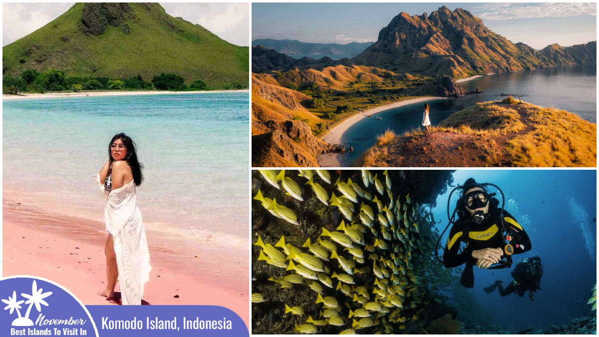 Best Islands to Visit in November - Komodo Island, Indonesia