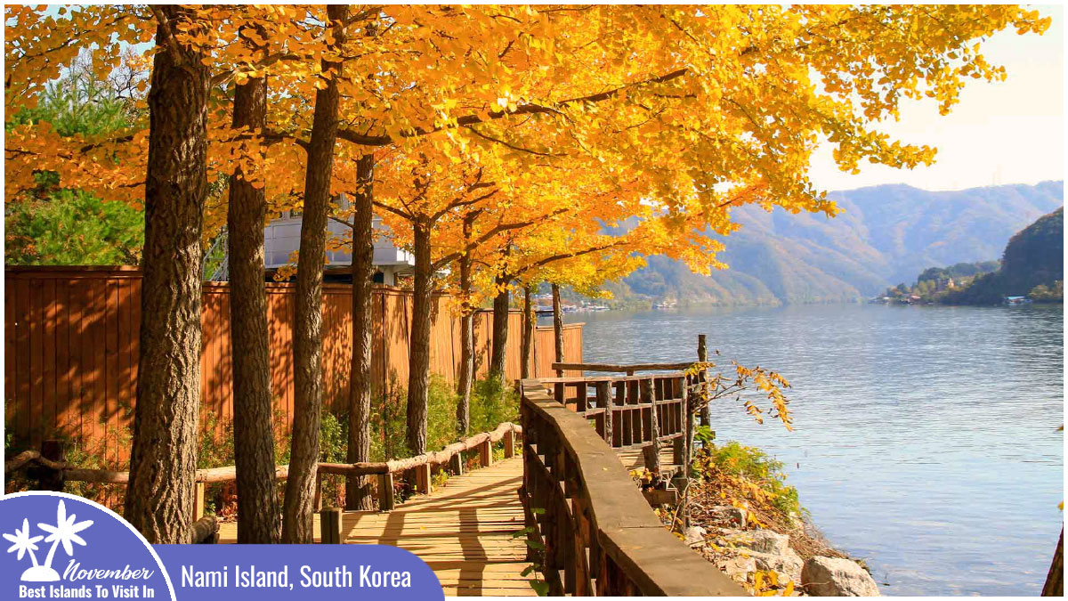 Best Islands to Visit in November - Nami Island, South Korea