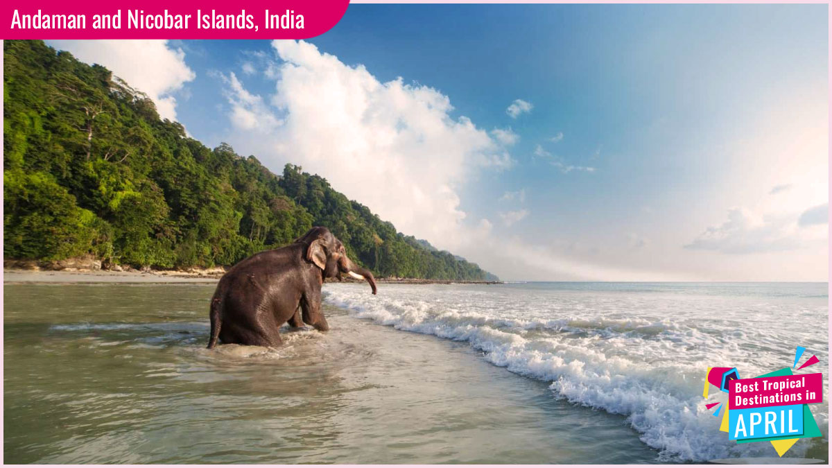 Best Tropical Destinations in April - Andaman and Nicobar Islands, India