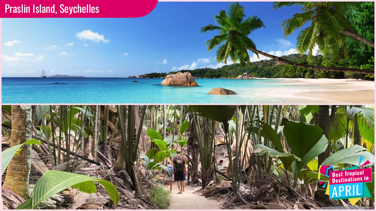 Best Tropical Destinations in April - Praslin Island, Seychelles