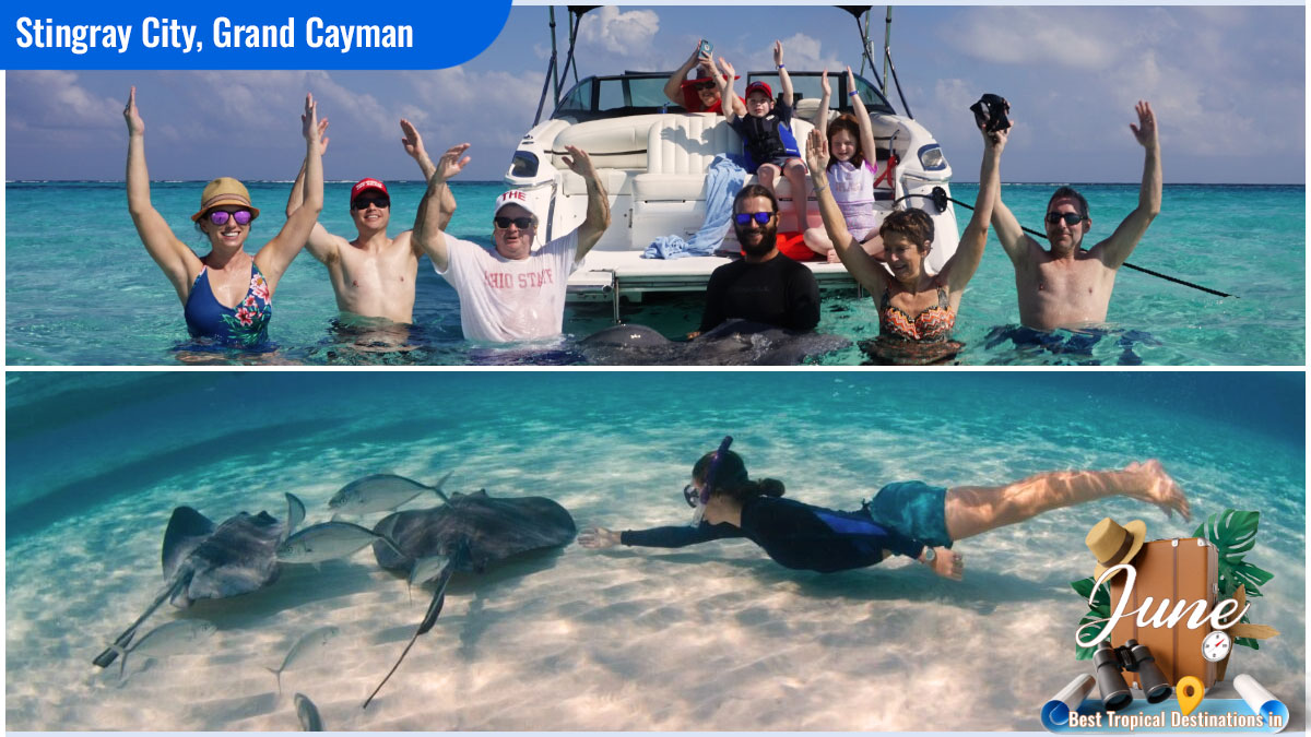 Best Tropical Destinations in June - Stingray City, Grand Cayman