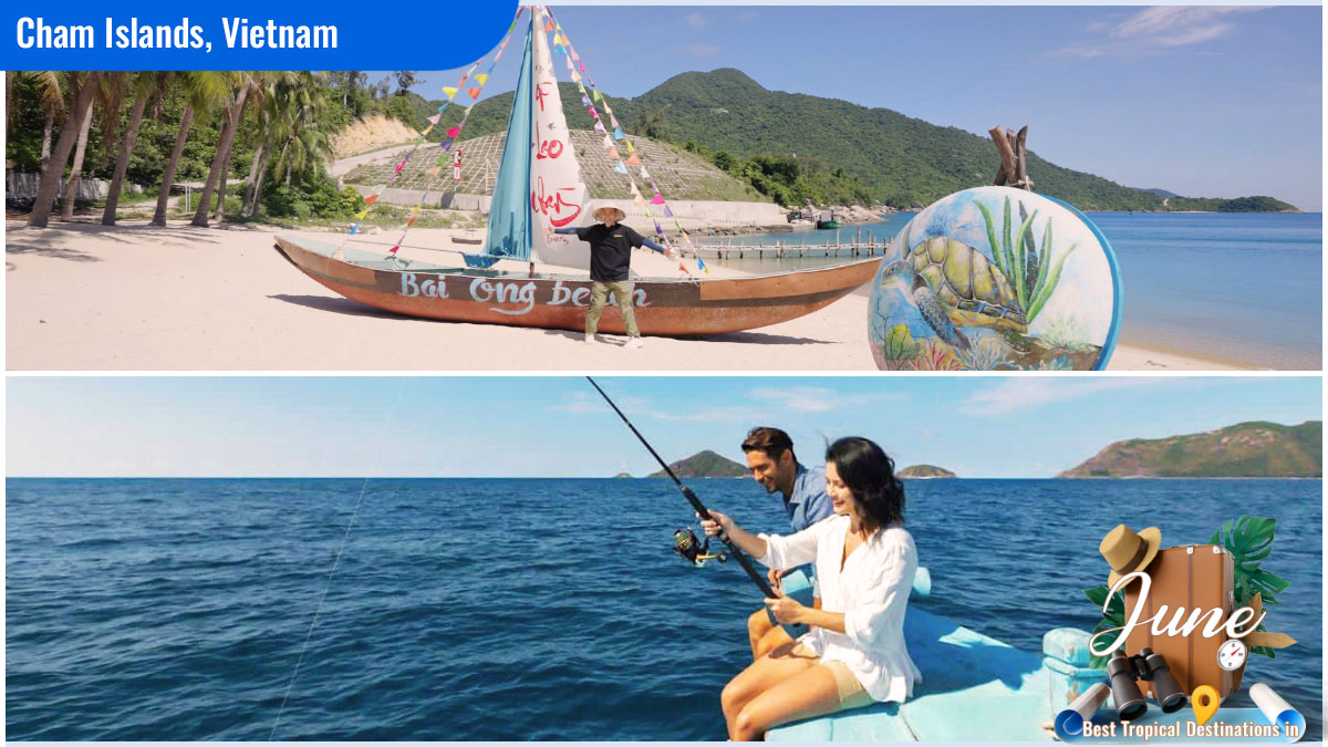 Best Tropical Destinations in June There are no room for boredom in Cham Islands