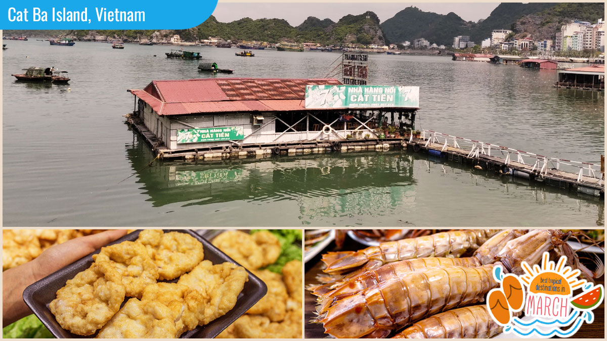 Best Tropical Destinations in March Local cuisine is a must for travelers to Cat Ba Island