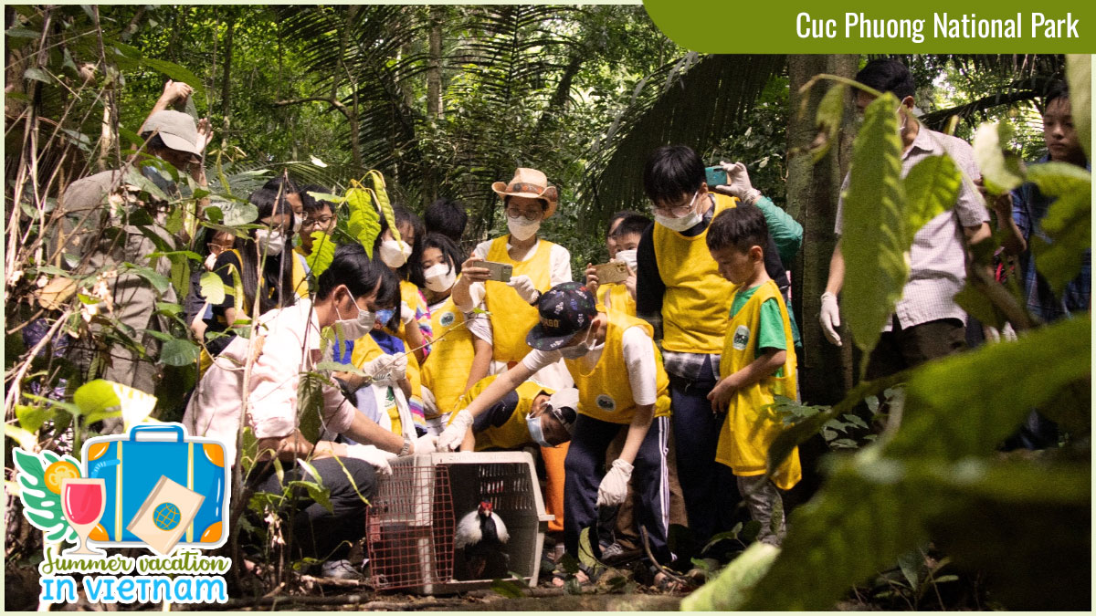 Places for Summer Vacation in Vietnam - Cuc Phuong National Park