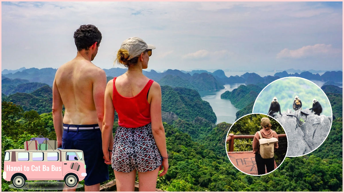 After your Hanoi to Cat Ba Bus journey, let's visit Cat Ba National Park