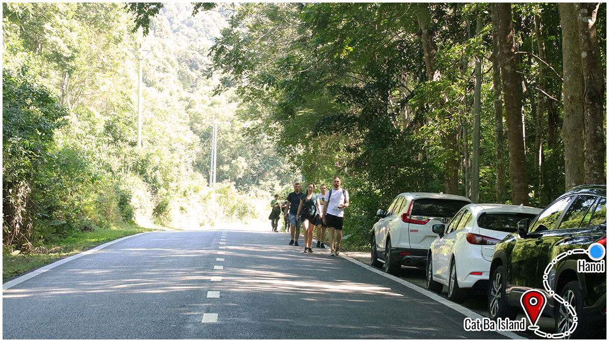 Essential tips for a smooth and enjoyable journey from Hanoi to Cat Ba Island