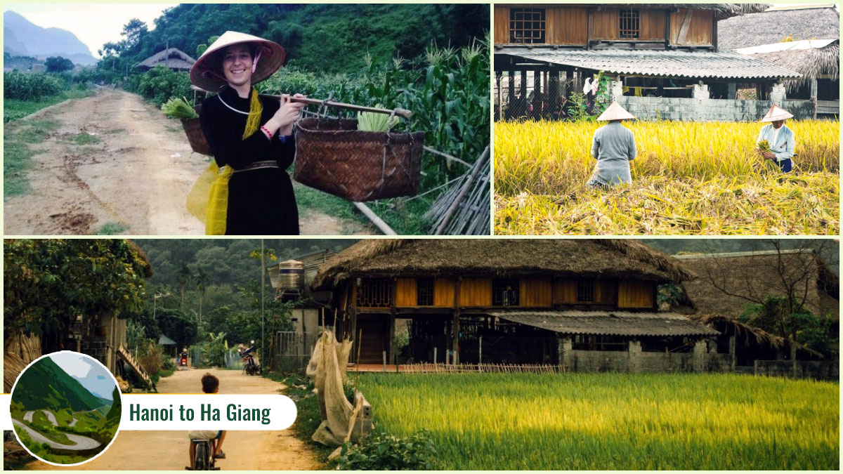 Experiences on a Hanoi to Ha Giang journey - Thon Tha Village