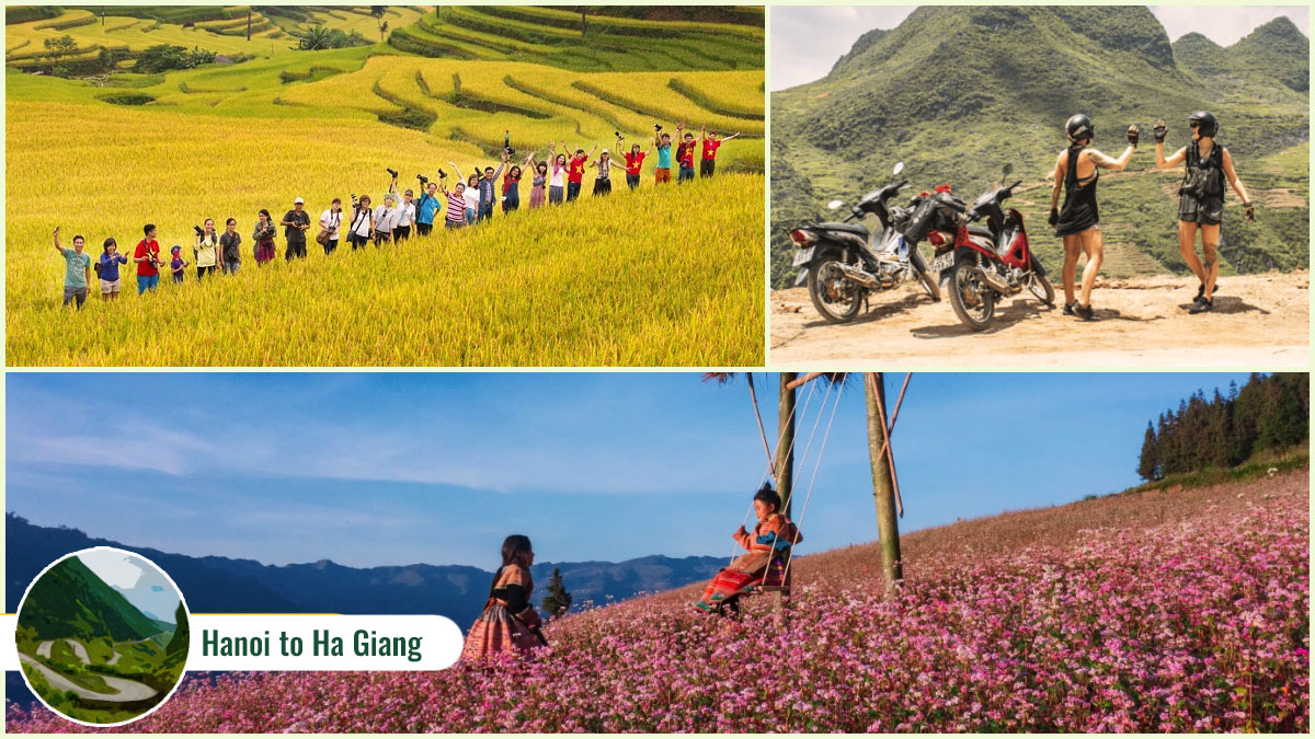 Plan your Hanoi to Ha Giang journey based on the seasons