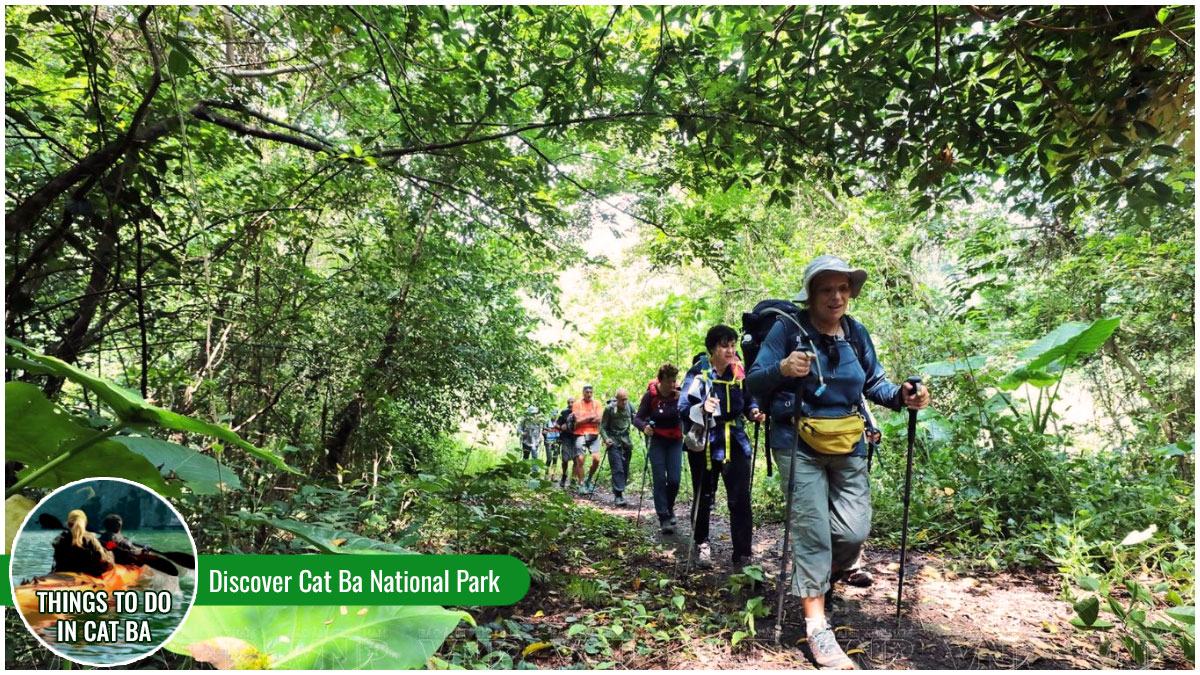 Things to Do in Cat Ba - Discover Cat Ba National Park