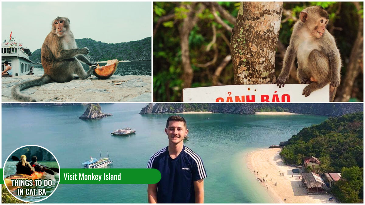 Things to Do in Cat Ba - Visit Monkey Island