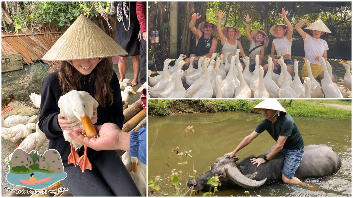 Things to Do in Phong Nha - Become the Duck Leader