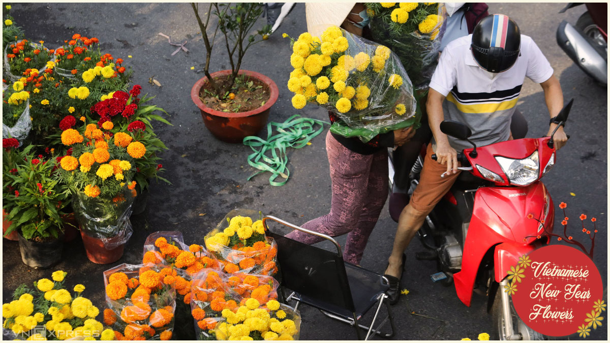 Vietnamese New Year flowers - Marigolds