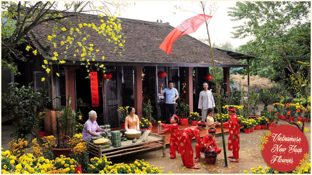 Vietnamese New Year flowers bring vibrant colors and a festive atmosphere to local homes