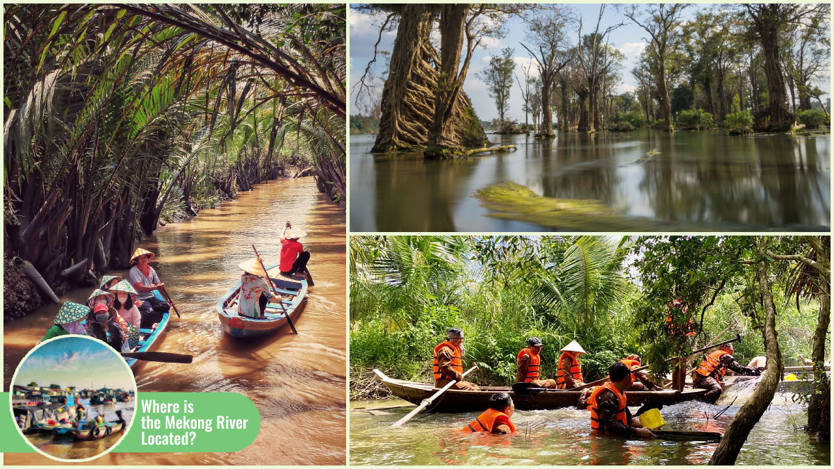 Beyond “Where Is the Mekong River Located” - Ecological Importance