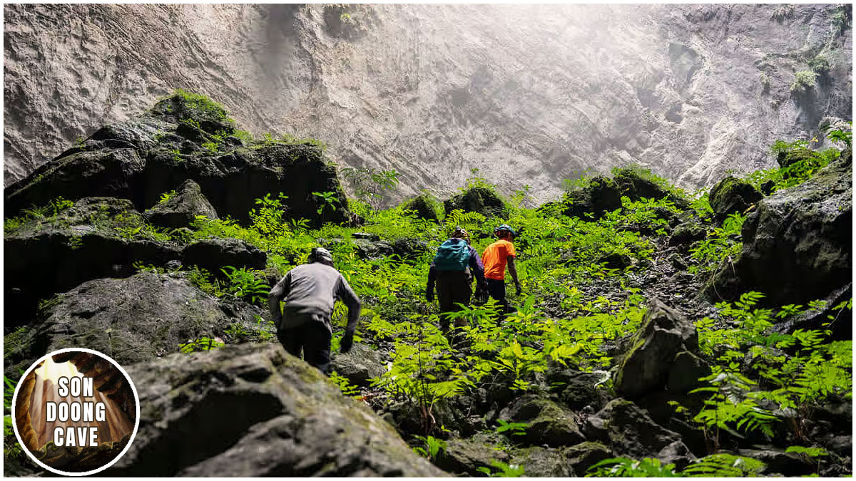 Discover the biodiversity in Son Doong Cave