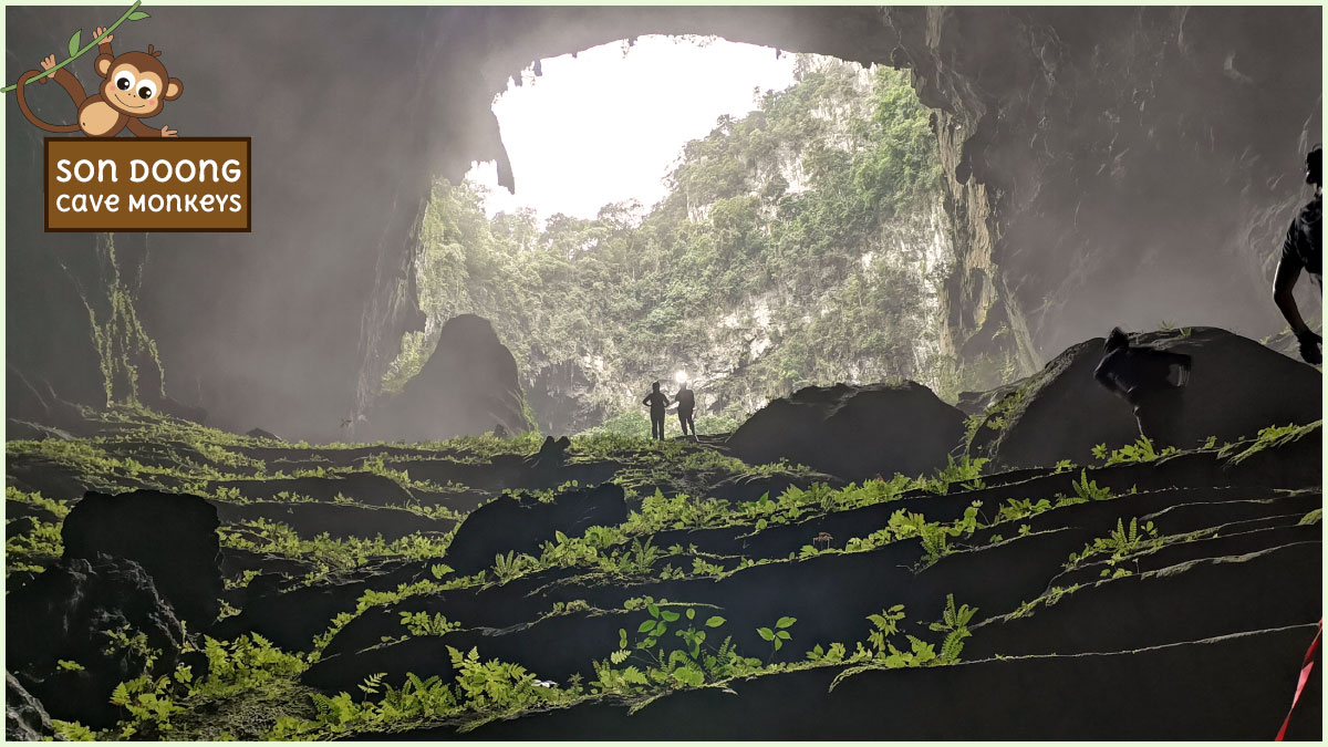 Encountering Son Doong cave monkeys is an exciting experience