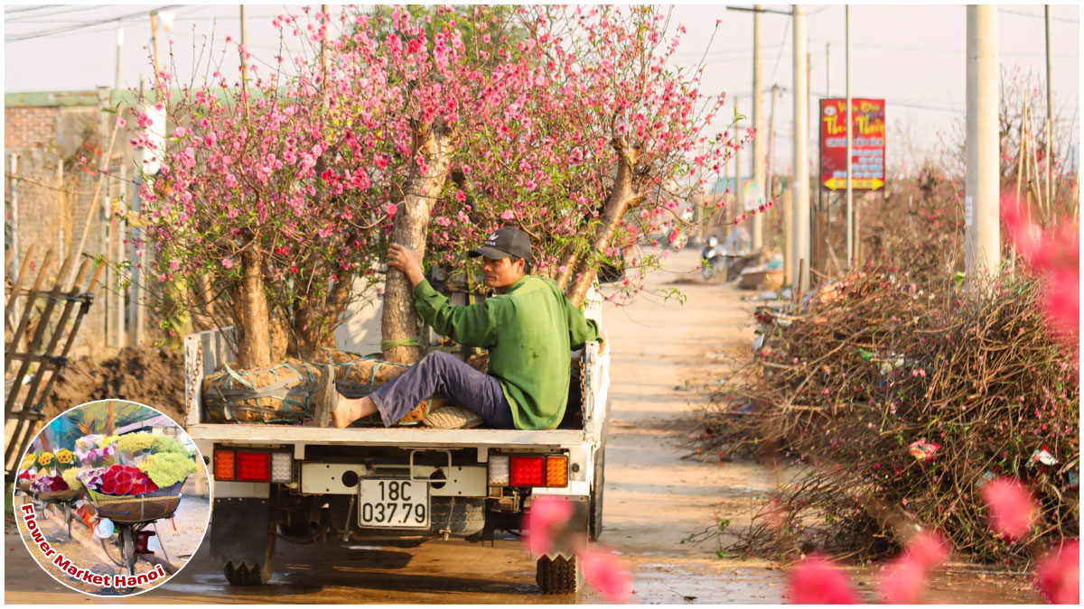 Fascinating Stories from Flower Market Hanoi