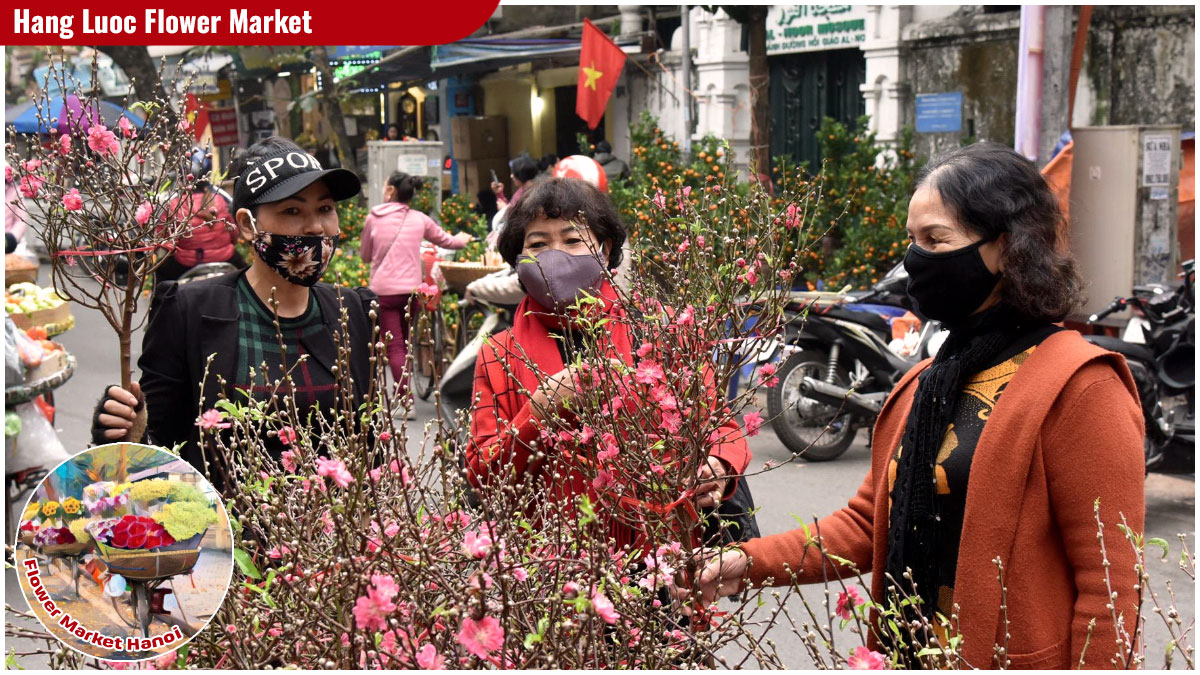 Flower Market Hanoi - Hang Luoc Flower Market