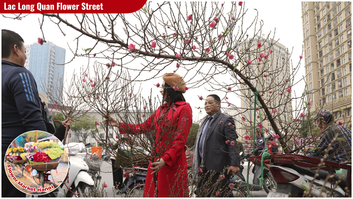 Flower Market Hanoi - Lac Long Quan Flower Street