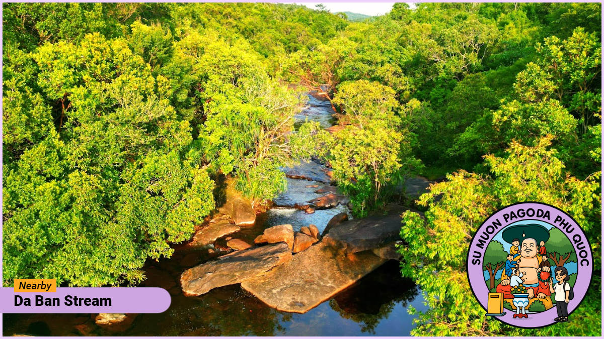 Attraction nearby Su Muon Pagoda Phu Quoc - Da Ban Stream Attraction nearby Su Muon Pagoda Phu Quoc - Da Ban Stream