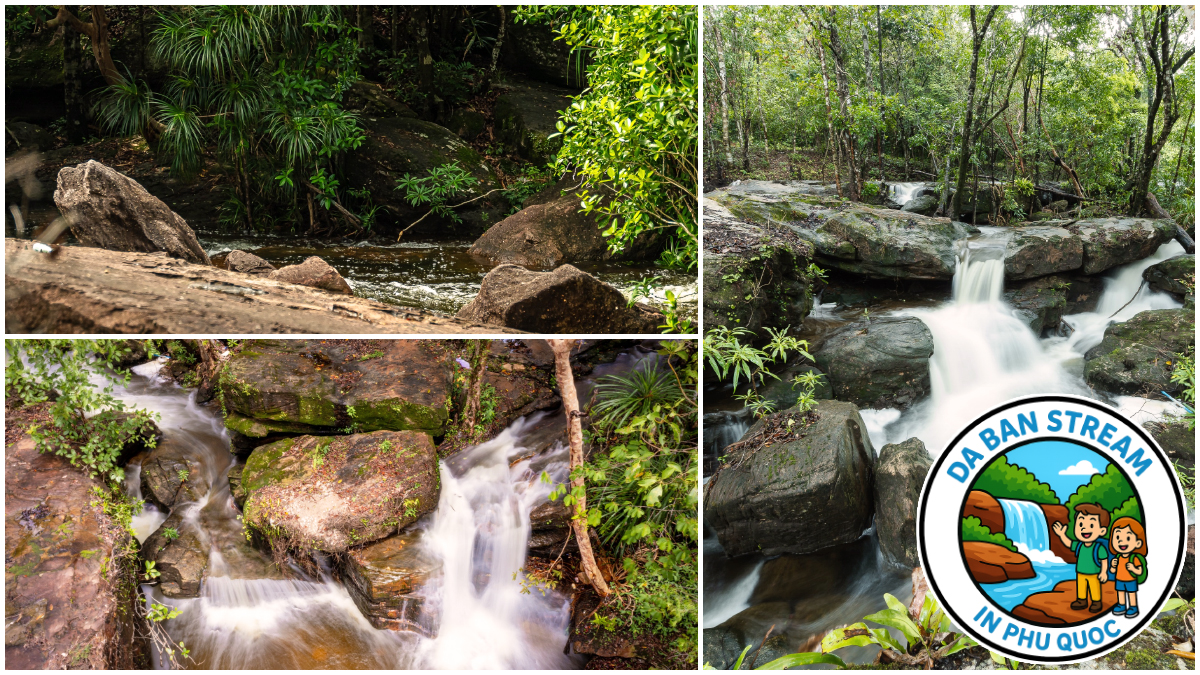 Best Time to Visit Da Ban Stream in Phu Quoc Best Time to Visit Da Ban Stream in Phu Quoc