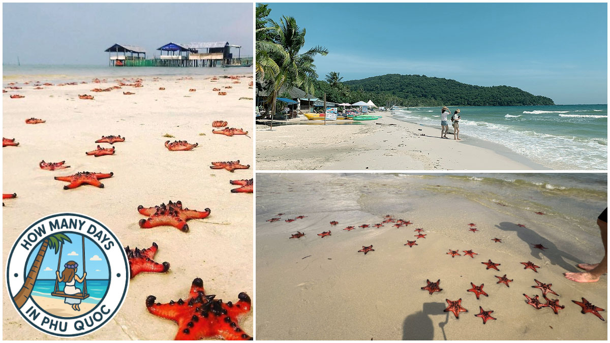 How Many Days in Phu Quoc to Explore Starfish Beach